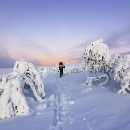 Kuukkeli Pikku-hirvas Ja Porotokka